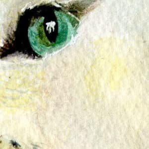 Détail d'un portrait à l'aquarelle par Kalia Defaso, oeil de chat