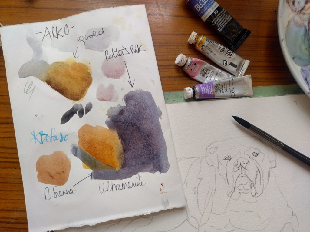 Portrait animalier personnalisé à l’aquarelle d’un [chien/chat/autre animal] sur mesure par l’artiste peintre animalier Kalia Defaso.